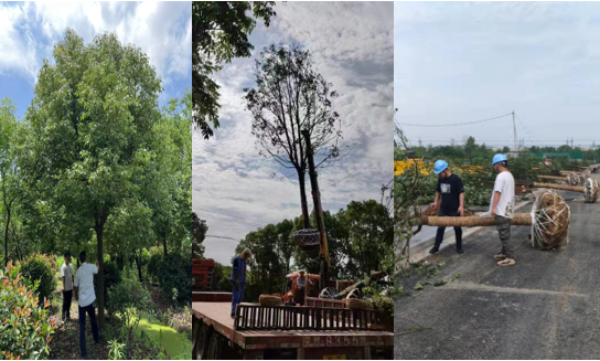 完工！盘城2号地块配套蹊径秀出新高度