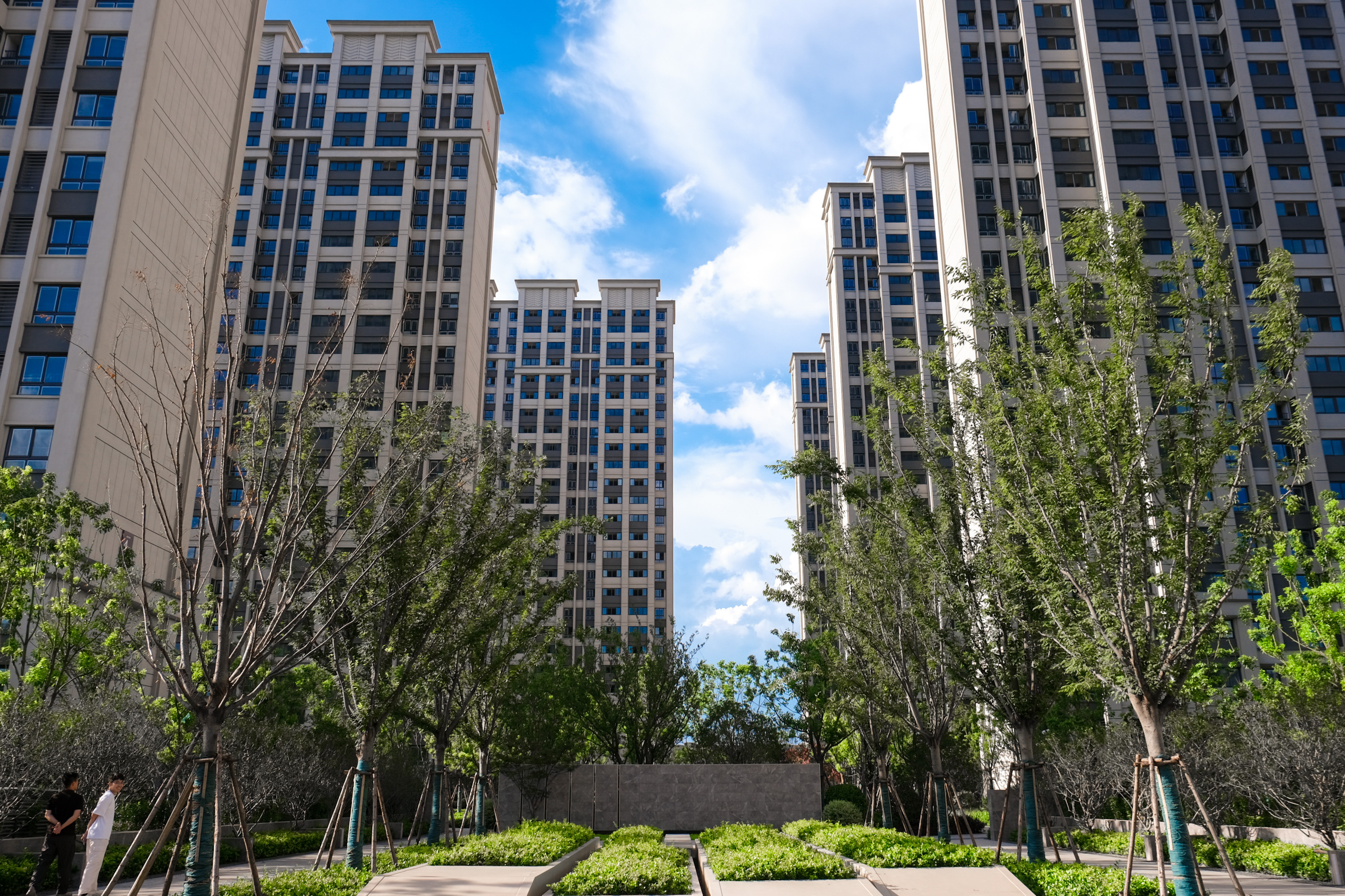 台风过境，，，这一大波民生项目be like（图说包管房）